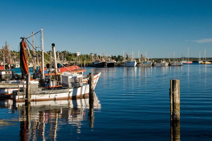 Boats docked at Iluka